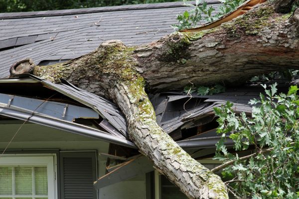 Storm Remediation in Arlington Heights