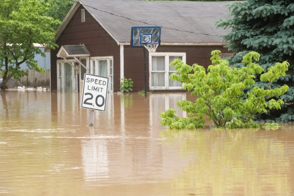 Storm Restoration Service in Arlington Heights