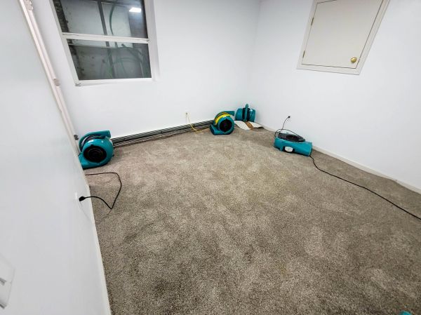Flood Restoration Service in Arlington Heights