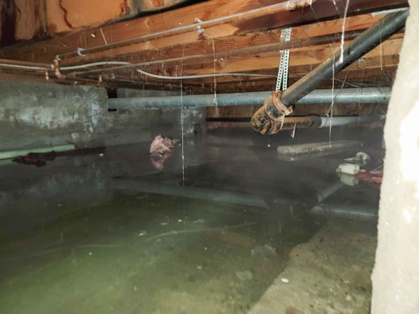 Water Mitigation Service in Arlington Heights