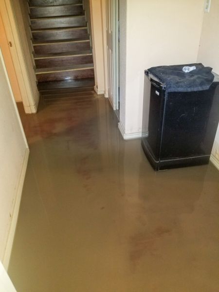 Cost of Emergency Water Removal in Arlington Heights