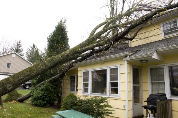 Hurricane Damage Repair in Arlington Heights