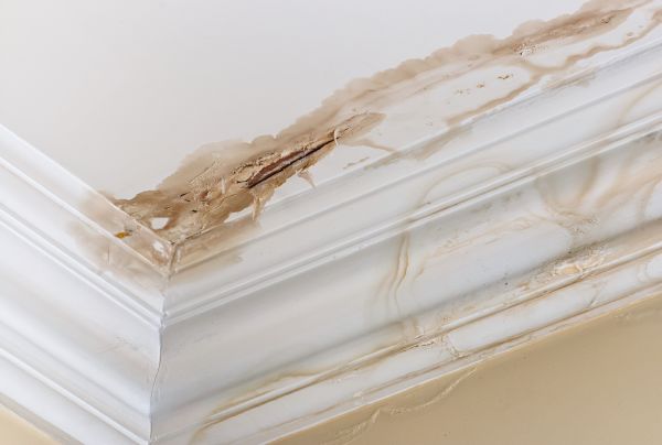 Water Damage Recovery in Arlington Heights